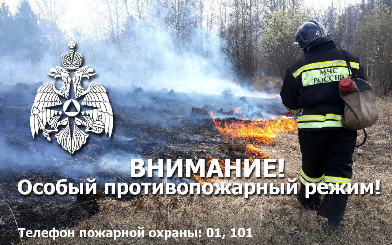 На всей территории Томской области введен особый противопожарный режим.