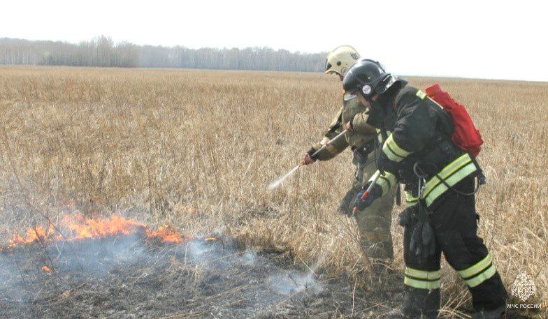 С 11 апреля в Томской области официально начинается пожароопасный сезон.